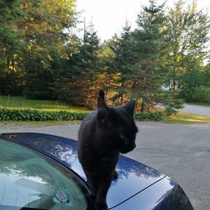 Meet your Posher, Josee